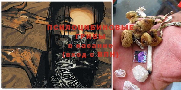 мескалин Аркадак